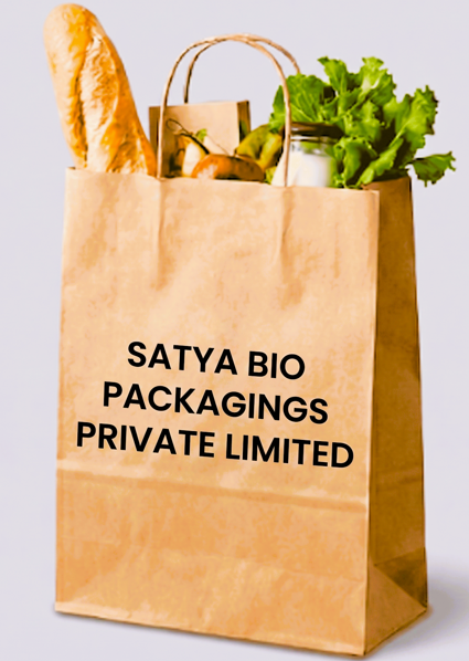 Kraft Paper Bag